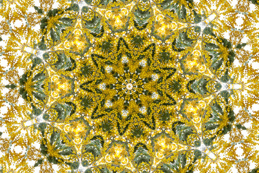 Similar image 724003