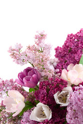 Similar image 724006