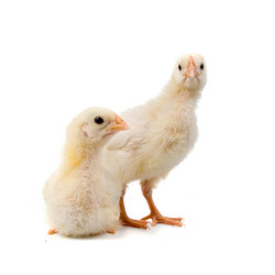 Similar image 724010