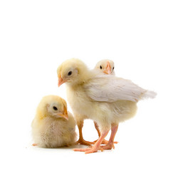 Similar image 724012