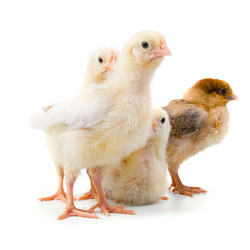 Similar image 724014