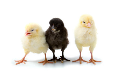 Similar image 724015