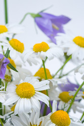 Similar image 724020