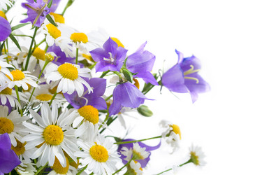 Similar image 724021