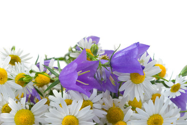 Similar image 724023