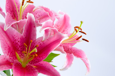 Similar image 724024