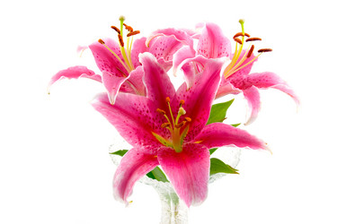 Similar image 724028