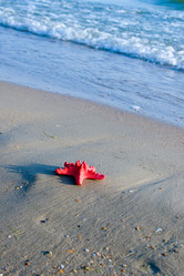 Similar image 724031