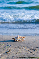 Similar image 724032