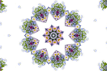 Similar image 724037