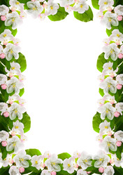 Similar image 724039