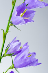 Similar image 724041