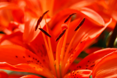 Similar image 724070