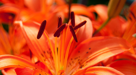 Similar image 724071