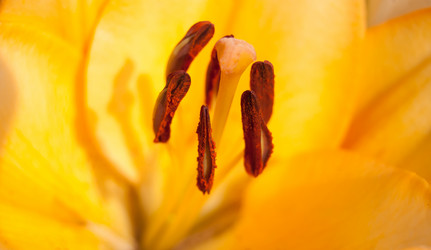 Similar image 724072