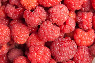 Similar image 724073