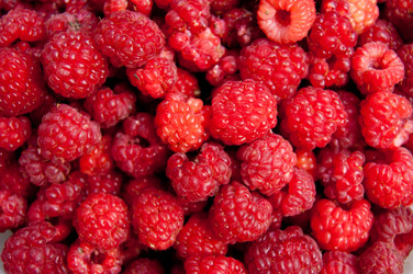 Similar image 724074