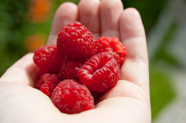 Similar image 724075