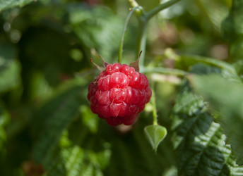 Similar image 724076