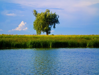 Similar image 724078