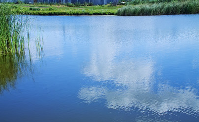 Similar image 724081