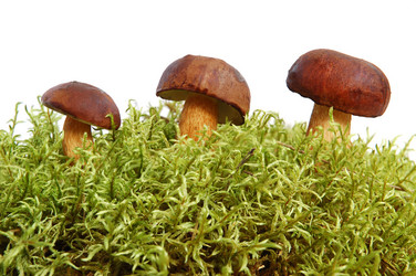 Similar image 724088