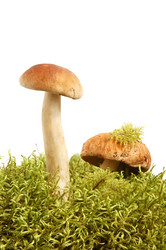 Similar image 724090