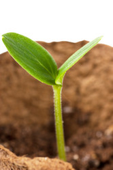 Similar image 724101