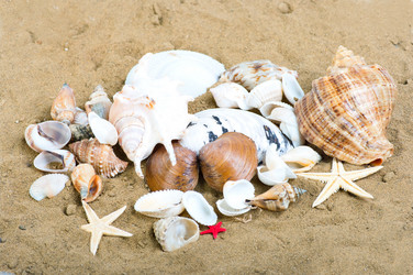 Similar image 724117