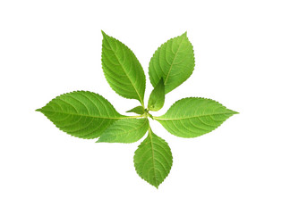 Similar image 724133