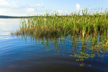 Similar image 724155