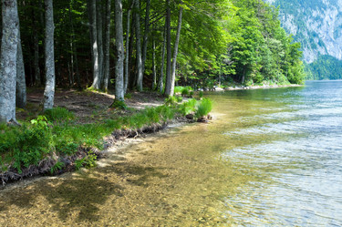 Similar image 724158