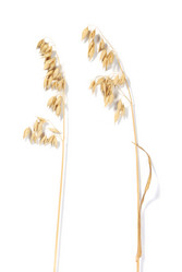 Similar image 724178