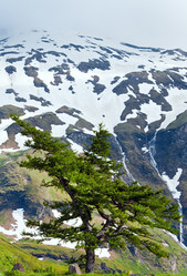 Similar image 724198