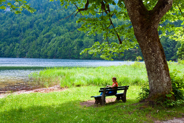 Similar image 724210