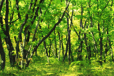 Similar image 724225