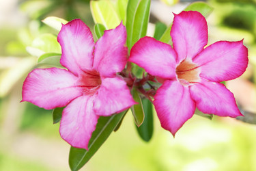 Similar image 724229