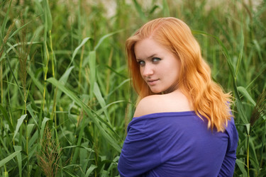 Similar image 724275