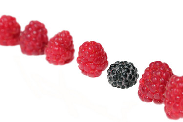 Similar image 724283