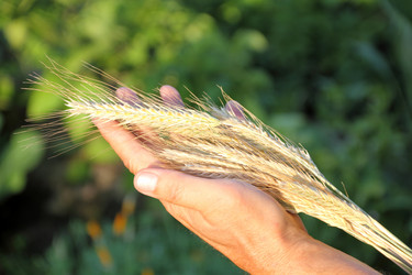 Similar image 724285