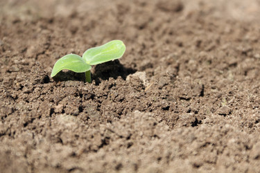 Similar image 724286