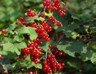 Similar image 724287