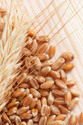 Similar image 724338