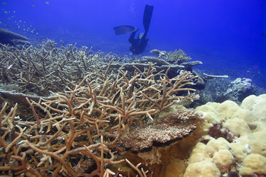 Similar image 724370