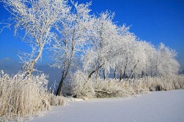 Similar image 724427