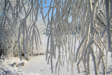 Similar image 724428