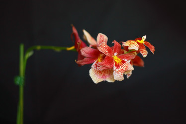 Similar image 724431