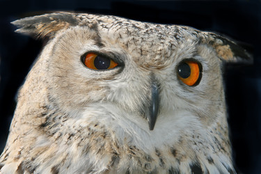 Similar image 724670