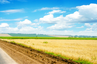 Similar image 724673