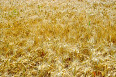 Similar image 724679